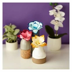 Best Pirce 👏 Crayola Paper Flower Science Kit 🛒 14 Best Pirce 👏 Crayola Paper Flower Science Kit 🛒 -Imaginarium Shop unnamed file 651